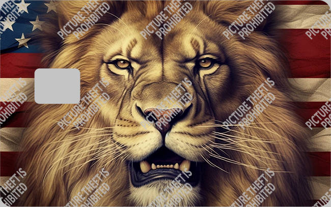 Bank  Card Sticker-BC-1535